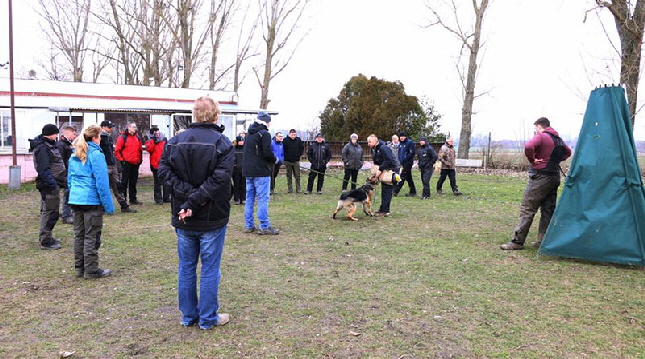 16711880_1261620727251377_6781594512047281069_n